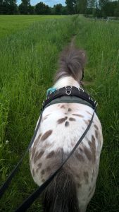 WP_20160516_16_53_33_Pro