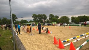 WP_20160520_13_18_03_Pro