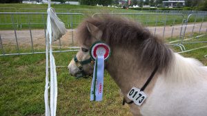 WP_20160520_14_30_02_Pro