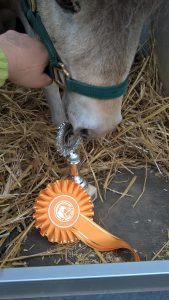 WP_20160522_15_27_10_Pro