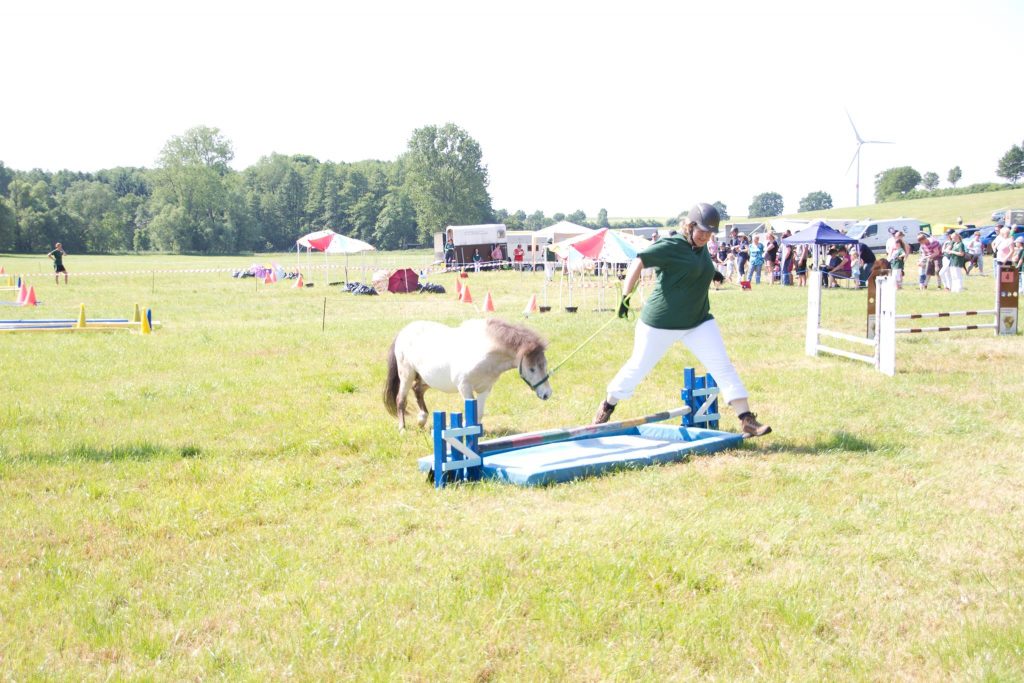 13396703_10153691137788494_1055363126_o