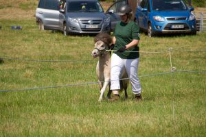 13405459_10153691134953494_2064983494_o