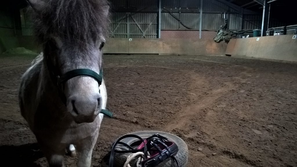 WP_20160311_19_18_32_Pro